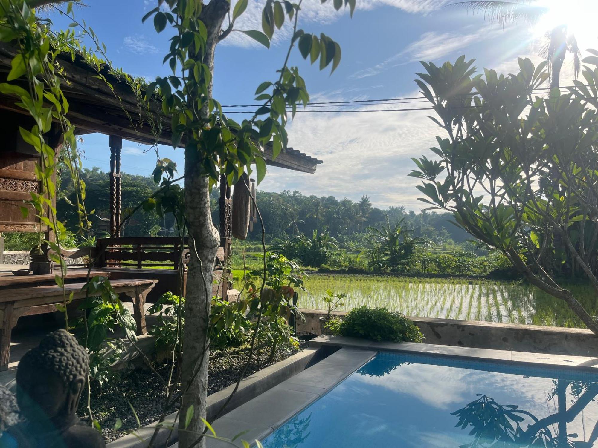 Villa Nextdoor Nature Yogyakarta Bantul Kültér fotó