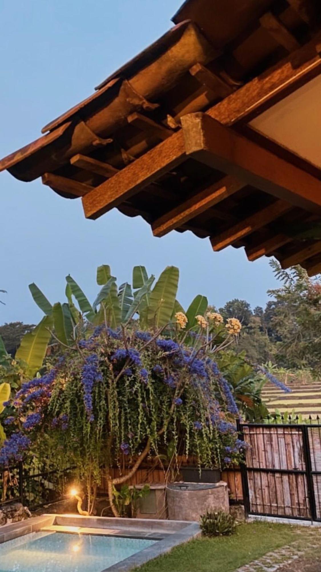 Villa Nextdoor Nature Yogyakarta Bantul Kültér fotó