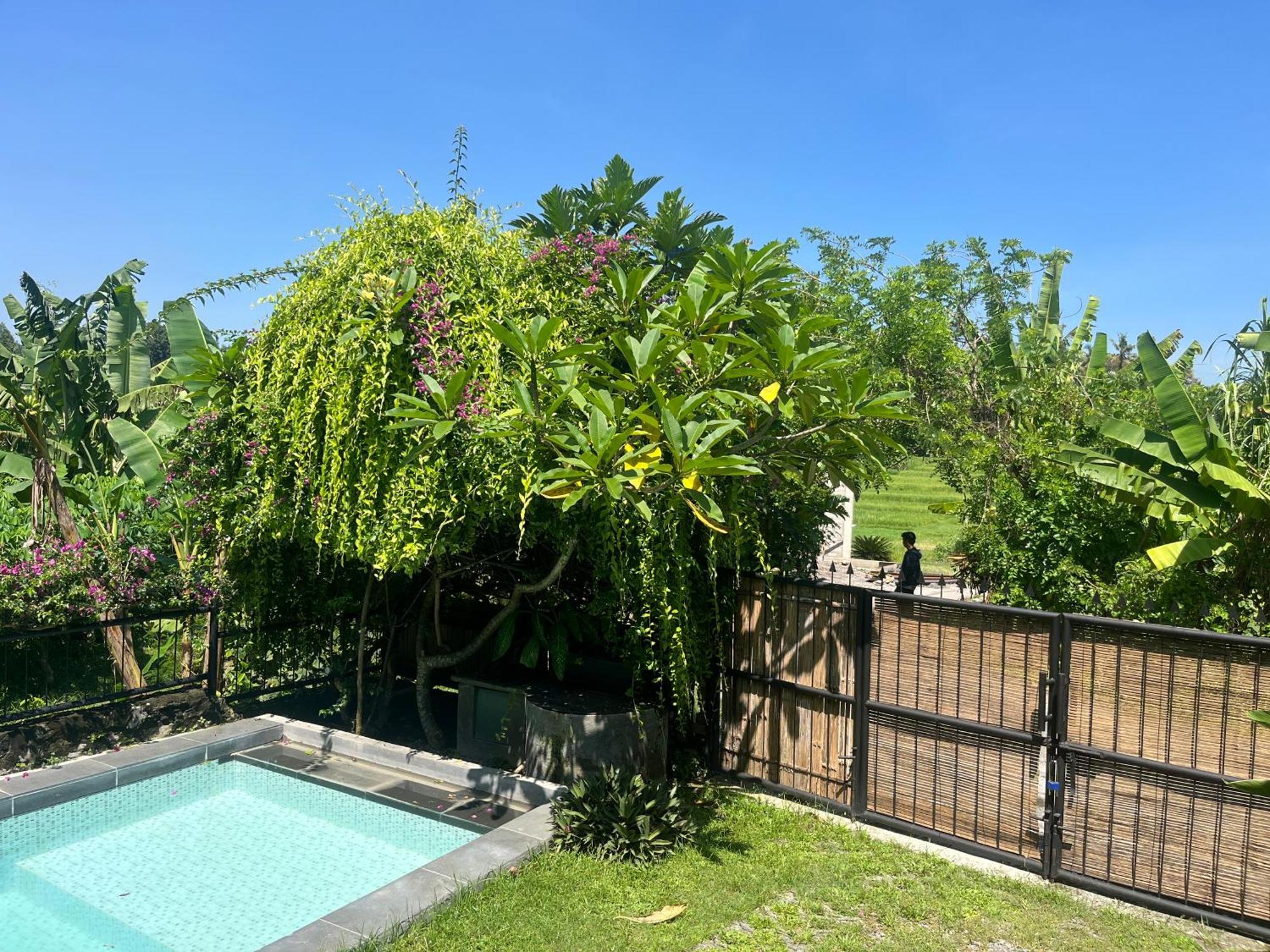Villa Nextdoor Nature Yogyakarta Bantul Kültér fotó